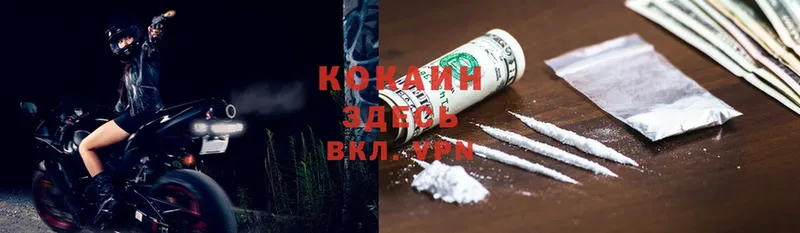 Cocaine Эквадор  площадка состав  Богучар 