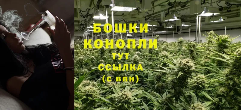 Конопля индика  Богучар 